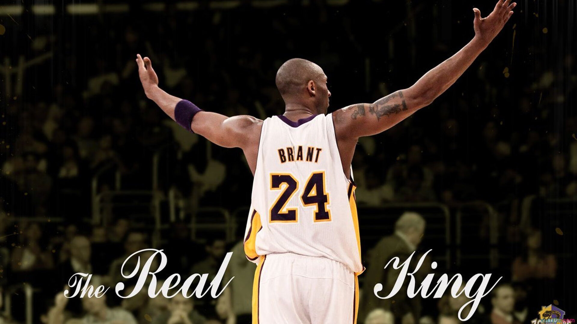 23岁新星打破尘封15年世界纪录，田径史迎来崭新篇章