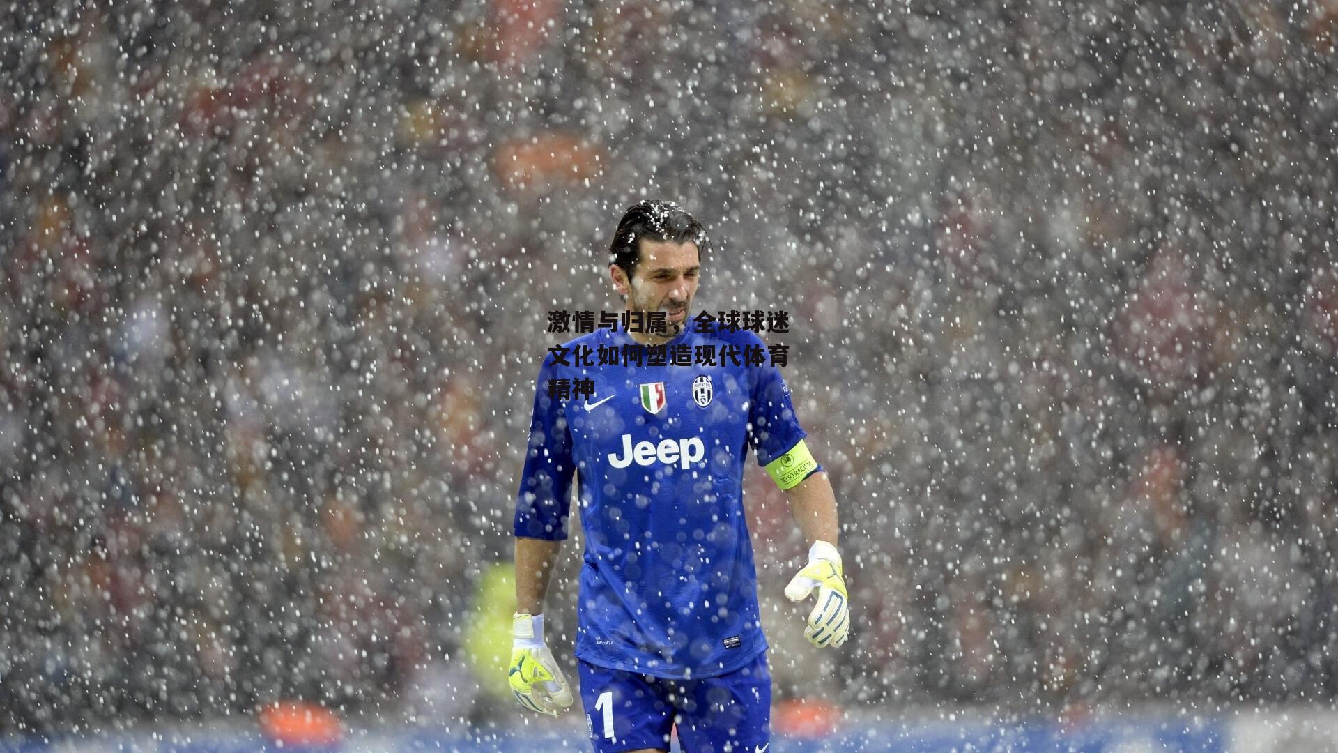 激情与归属，全球球迷文化如何塑造现代体育精神