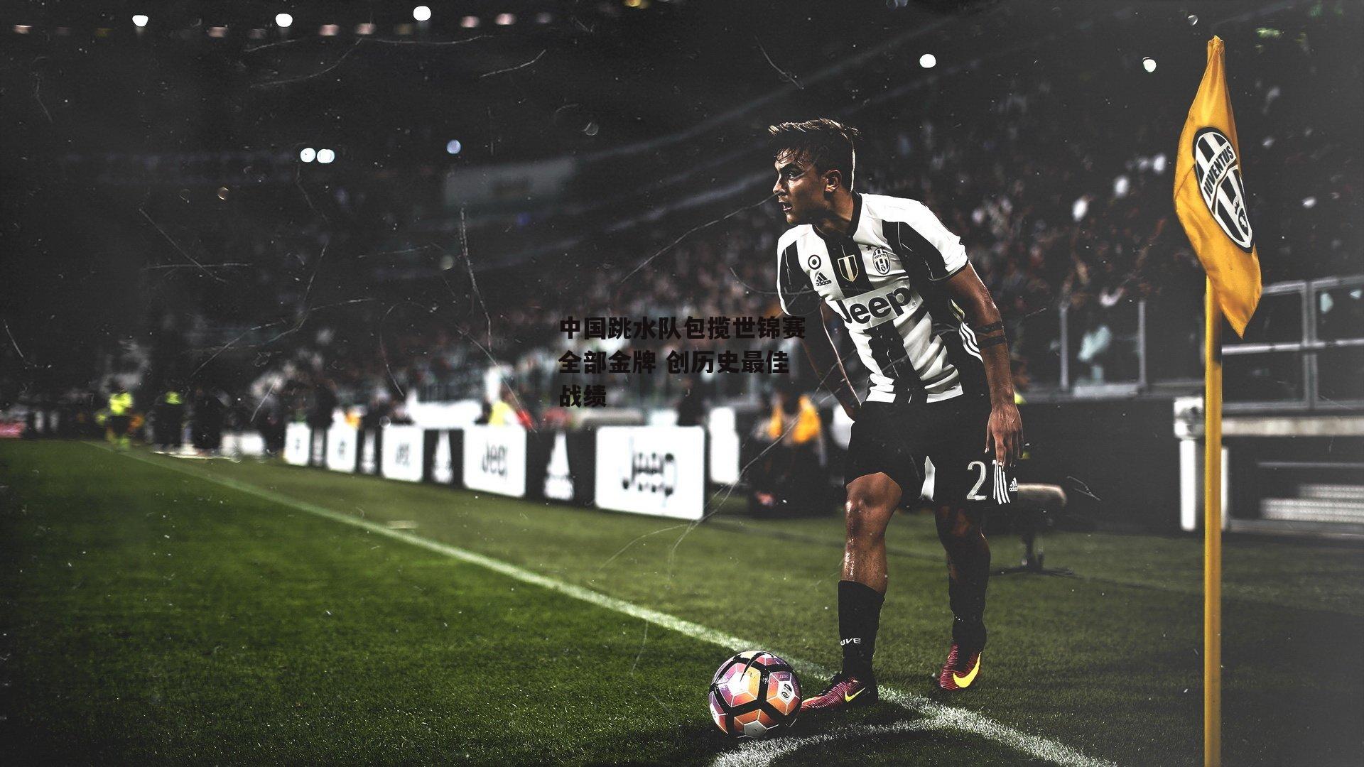 中国跳水队包揽世锦赛全部金牌 创历史最佳战绩