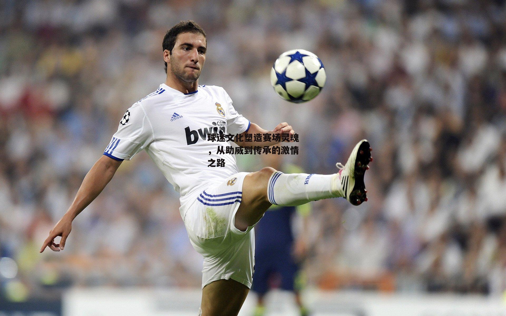 球迷文化塑造赛场灵魂，从助威到传承的激情之路